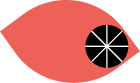 Eye decoration