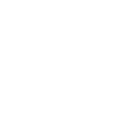 White octagon
